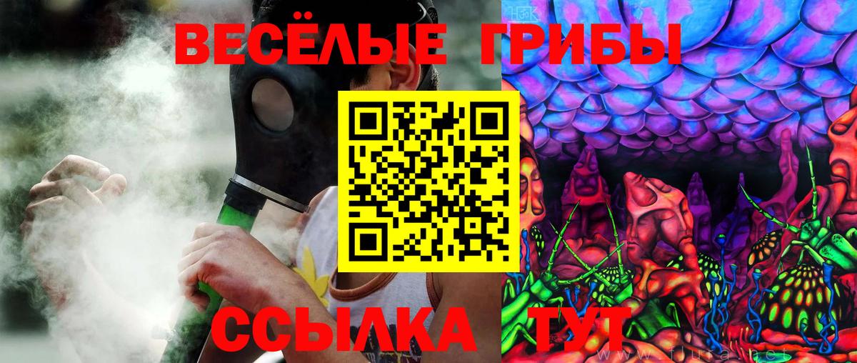Галлюциногенные грибы GOLDEN TEACHER Знаменск