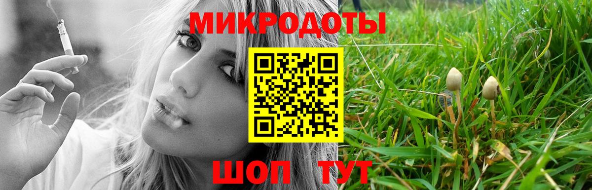 Знаменск  Псилоцибиновые грибы GOLDEN TEACHER  Вход с VPN  Галлюциногенные грибы ЛСД 
